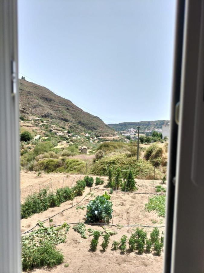 Appartamento Casa Azul Mountain Retreat Vega de San Mateo Esterno foto